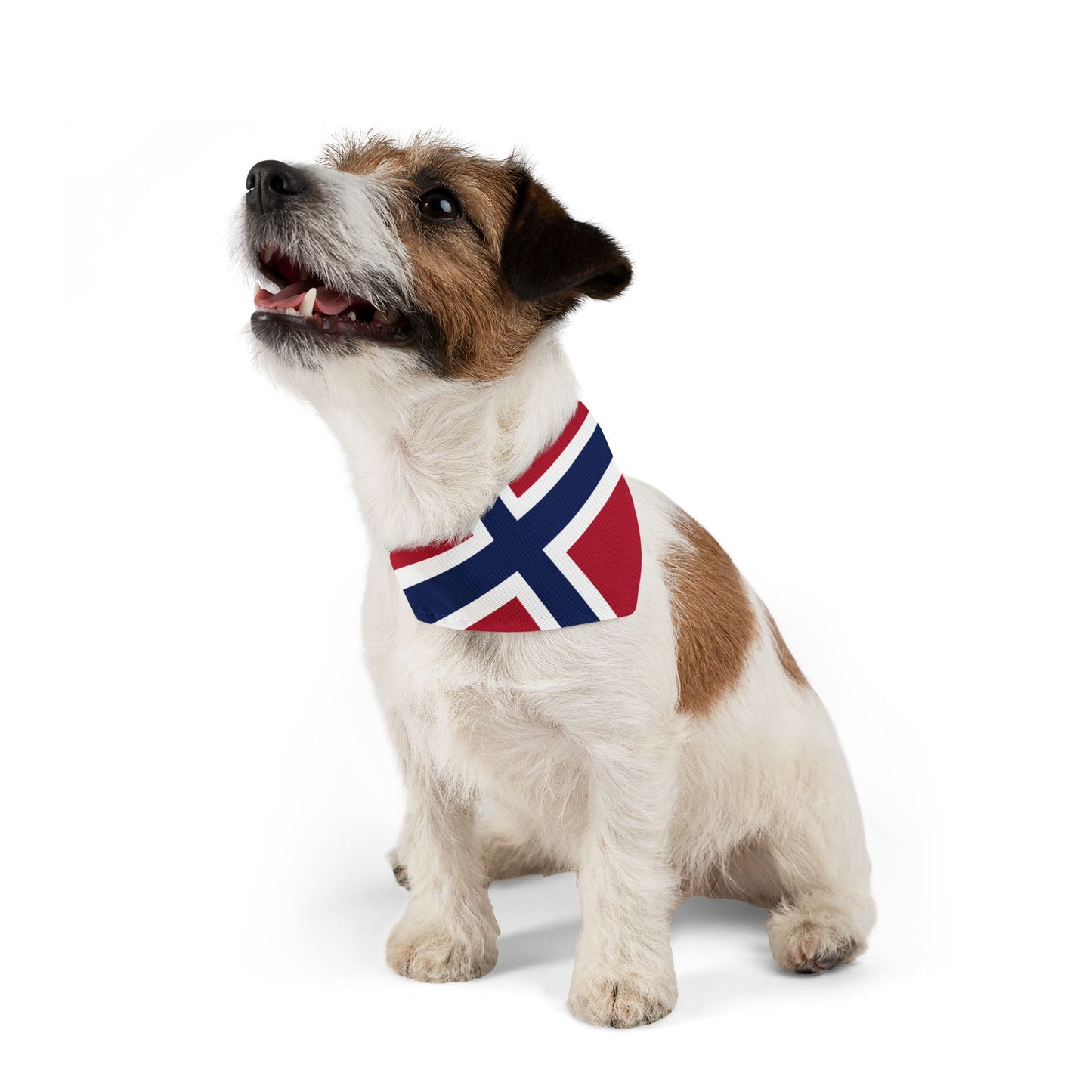Norway Soccer Dog Bandana — Norwegian Flag Snap-On Pet Bandana, Fan Gear