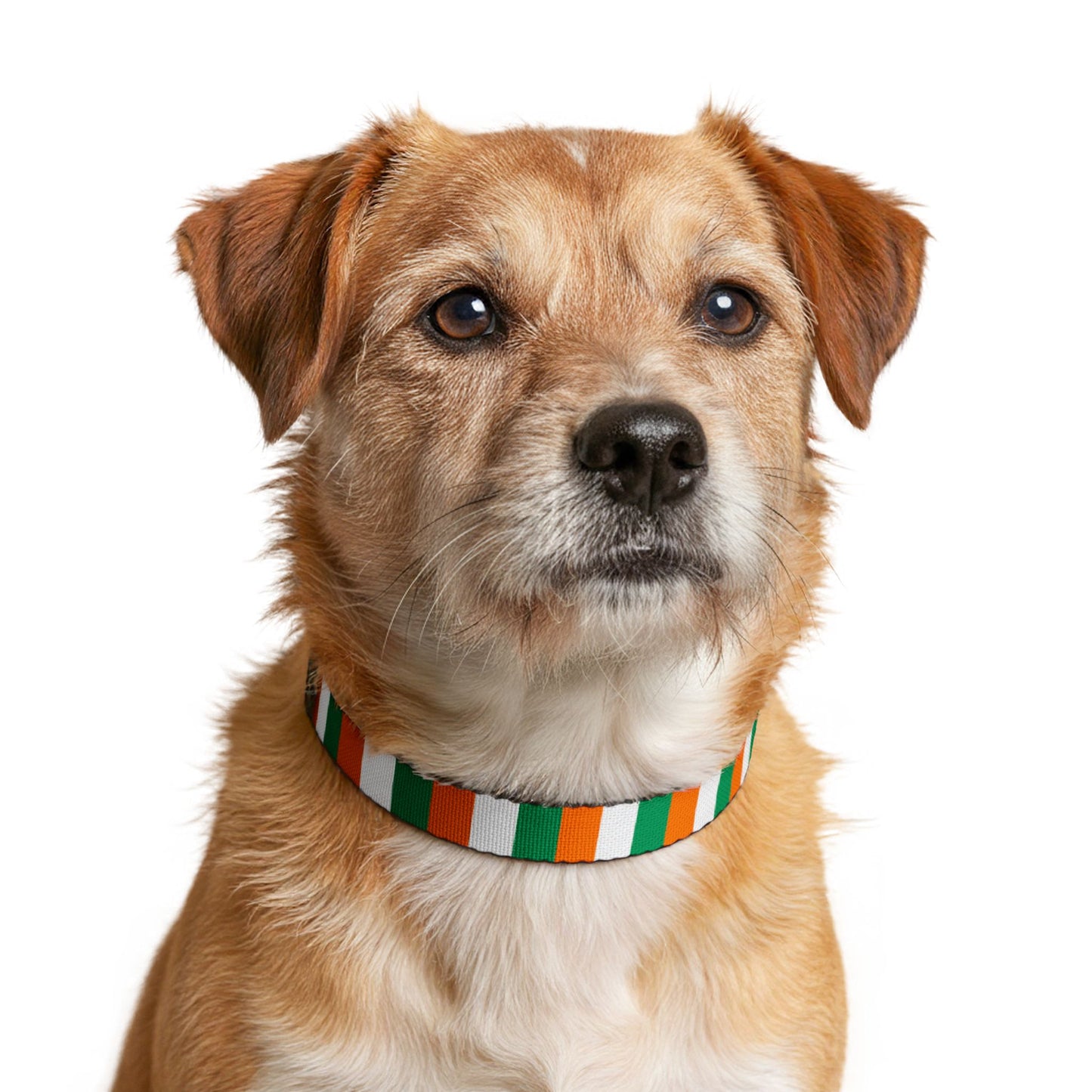 Ivory Coast Soccer Dog Collar — Ivorian Flag Grid Clip-On Pet Collar, Fan Gear