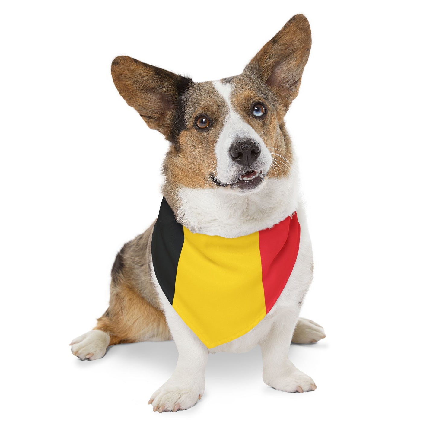 Belgium Soccer Dog Bandana — Belgian Flag Snap-On Pet Bandana, Fan Gear