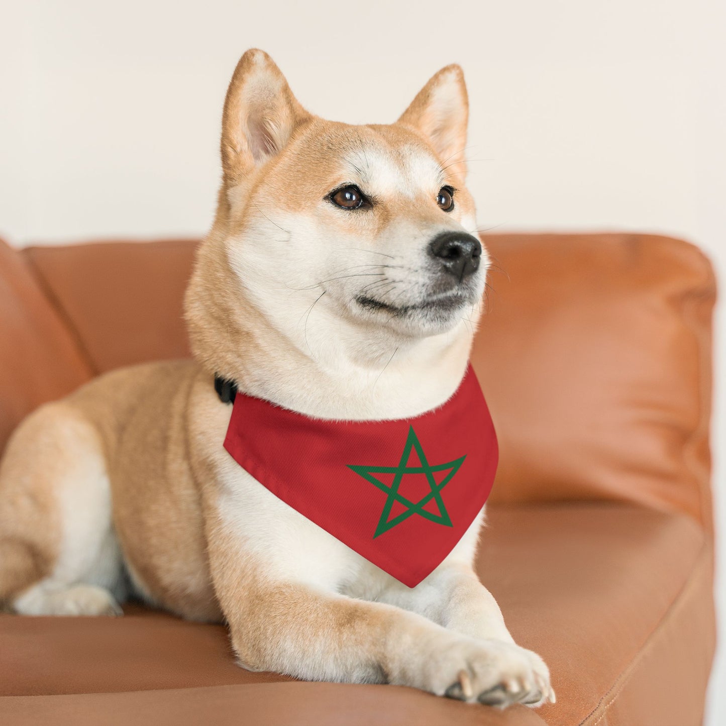Morocco Soccer Dog Bandana — Moroccan Flag Snap-On Pet Bandana, Fan Gear