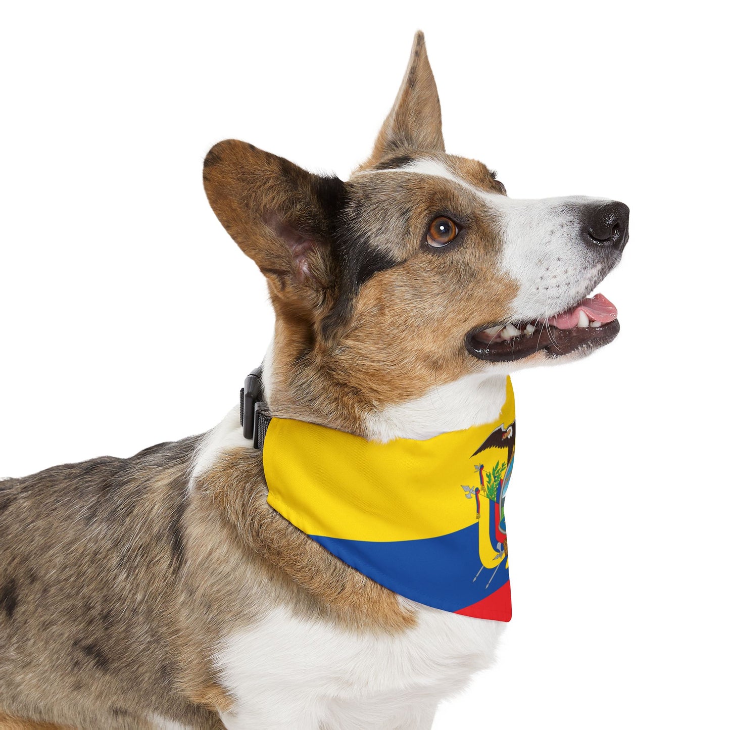 Ecuador Soccer Dog Bandana — Ecuadorian Flag Snap-On Pet Bandana, Fan Gear