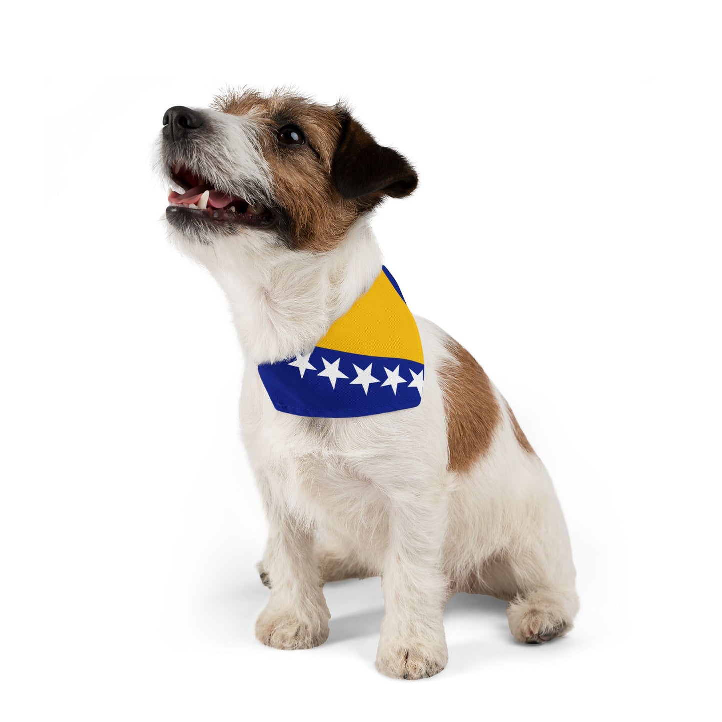 Bosnia and Herzegovina Soccer Dog Bandana — Bosnian Flag Snap-On Pet Bandana, Fan Gear