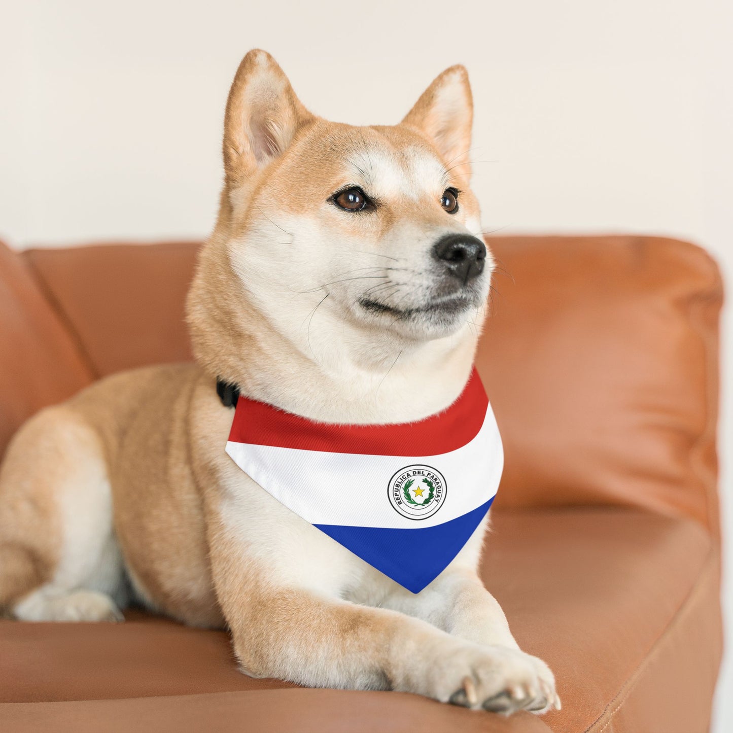 Paraguay Soccer Dog Bandana — Paraguayan Flag Snap-On Pet Bandana, Fan Gear