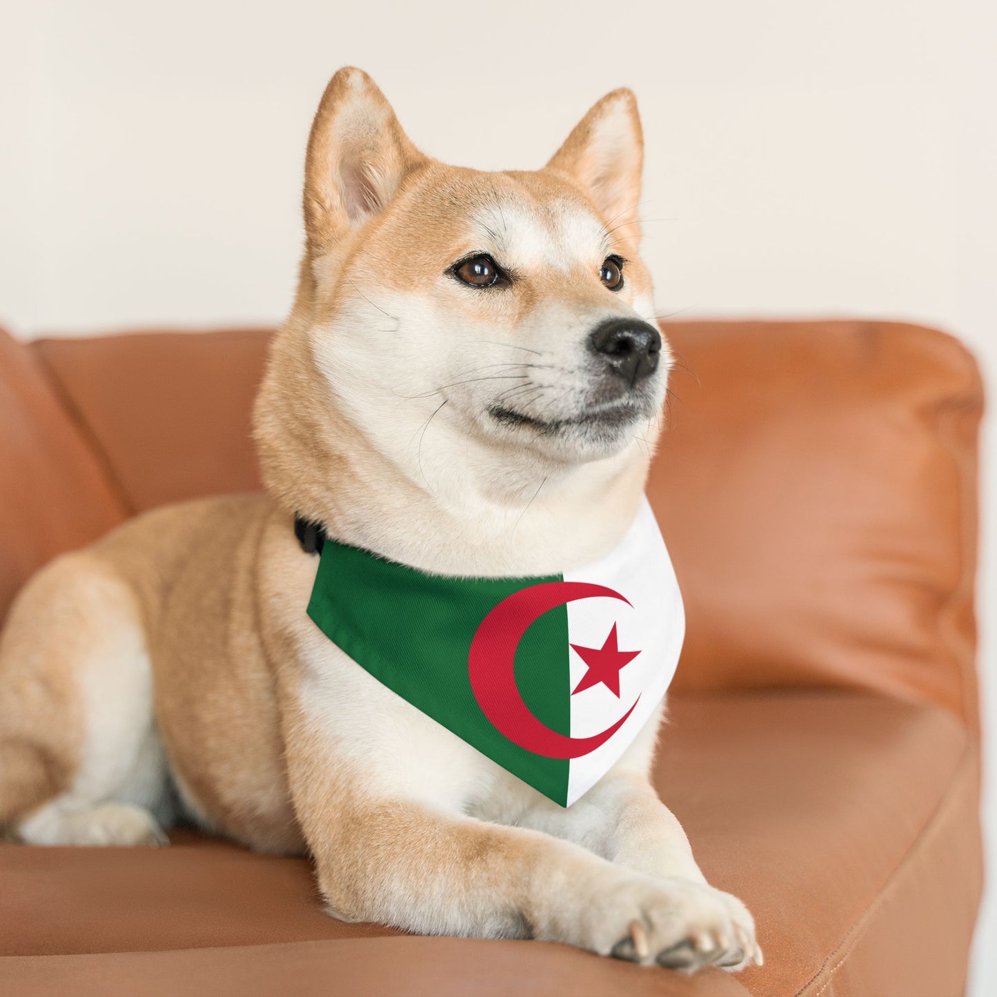 Algeria Soccer Dog Bandana — Algerian Flag Snap-On Pet Bandana, Fan Gear
