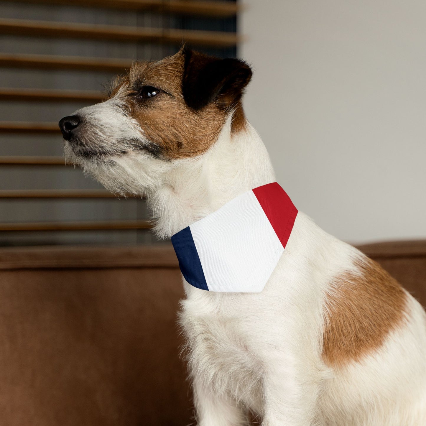 France Soccer Dog Bandana — French Flag Snap-On Pet Bandana, Fan Gear