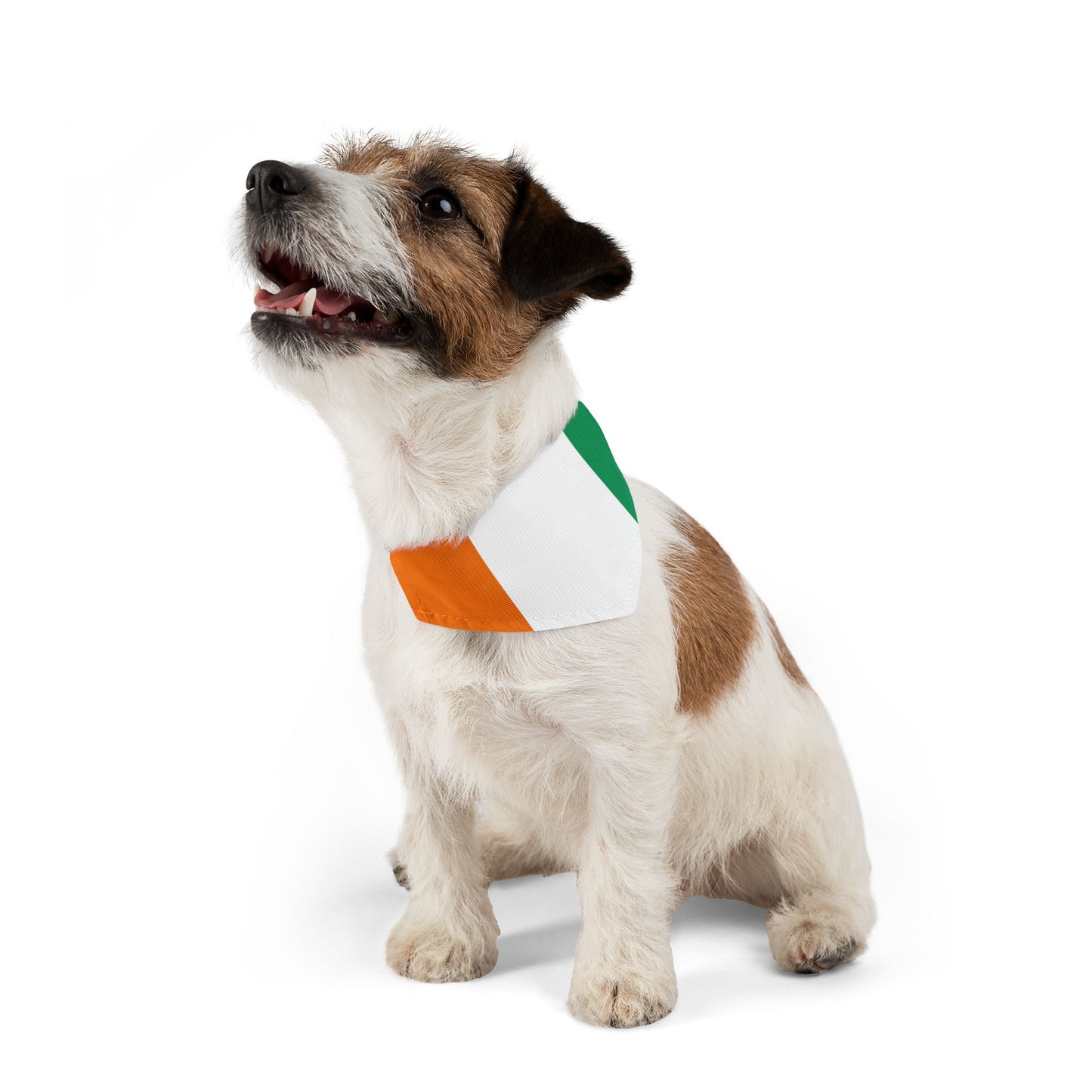 Ivory Coast Soccer Dog Bandana — Ivorian Flag Snap-On Pet Bandana, Fan Gear