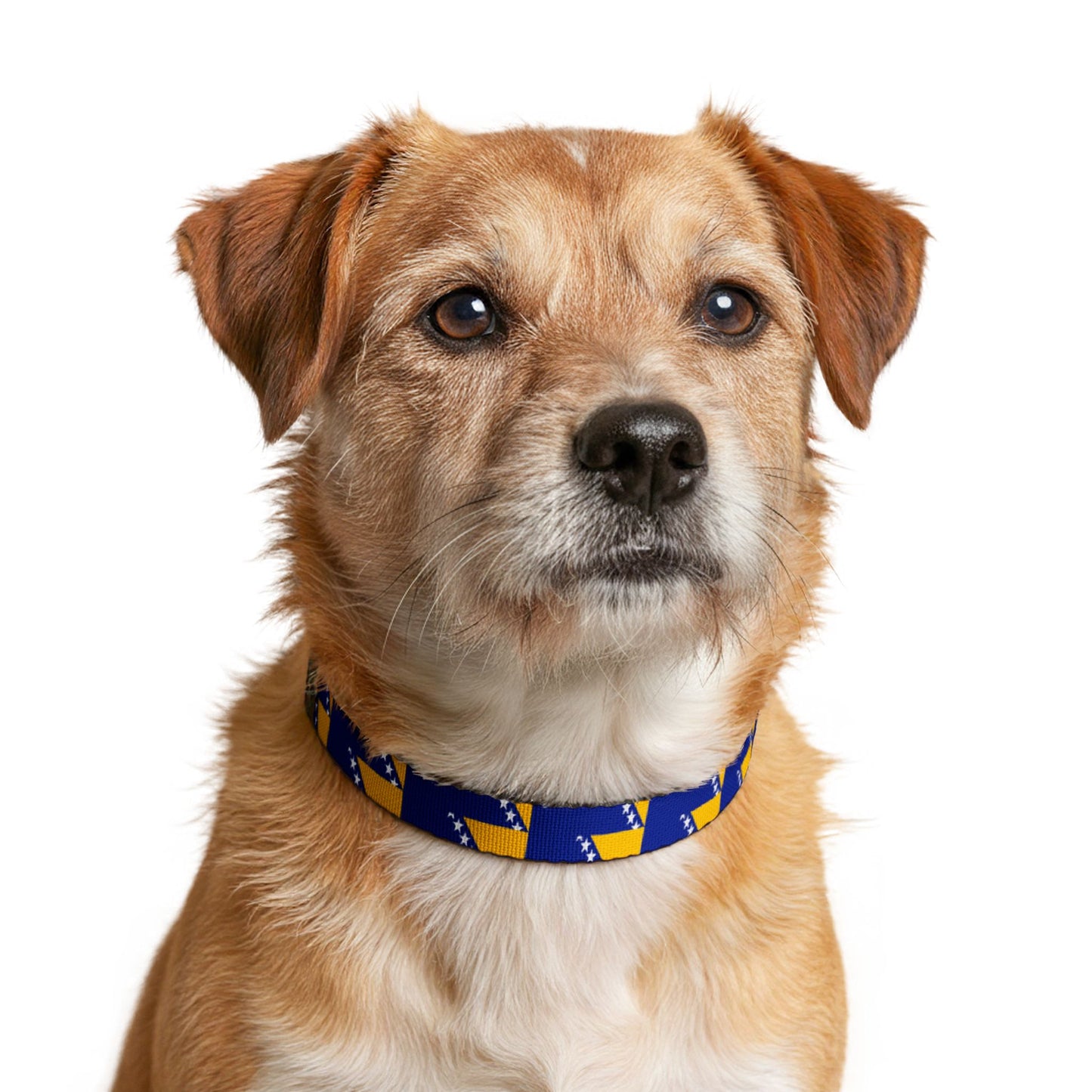 Bosnia and Herzegovina Soccer Dog Collar — Bosnian Flag Grid Clip-On Pet Collar, Fan Gear