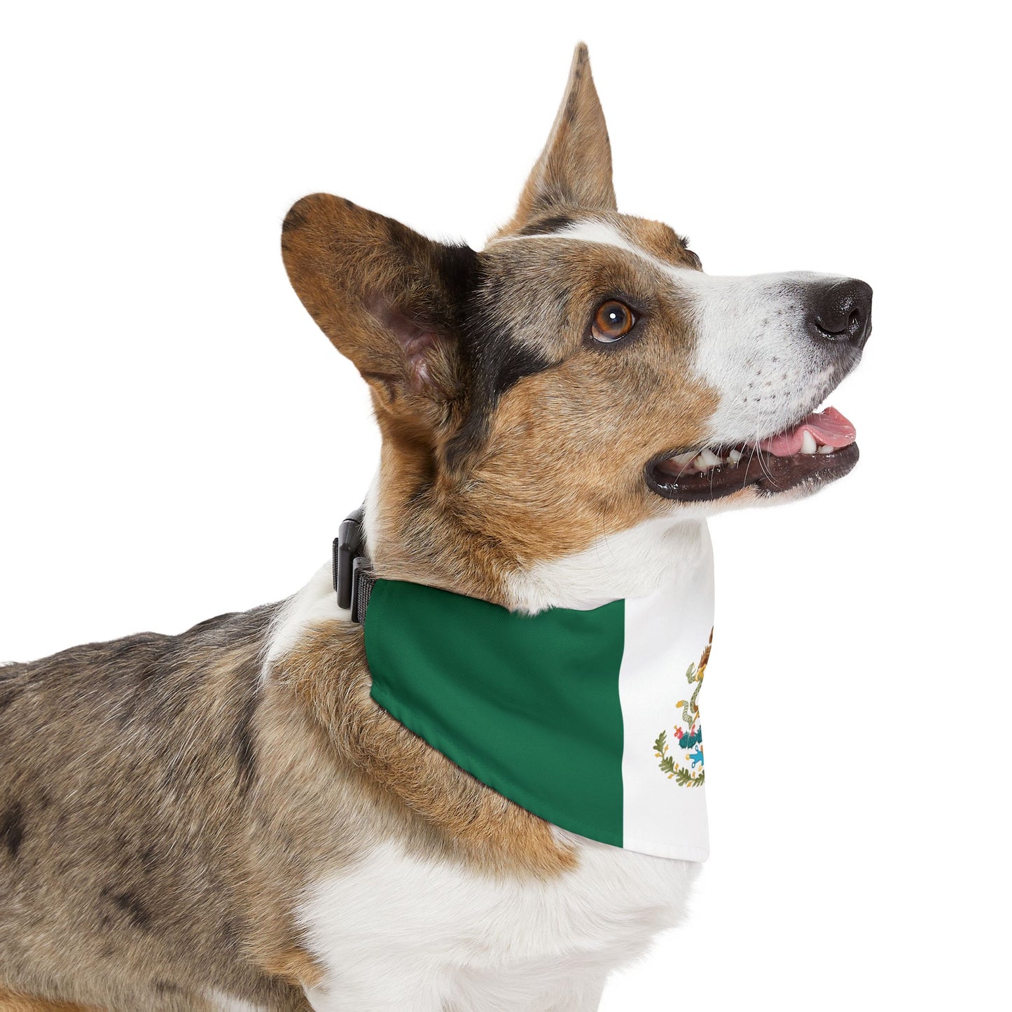 Mexico Soccer Dog Bandana — Mexican Flag Snap-On Pet Bandana, Fan Gear