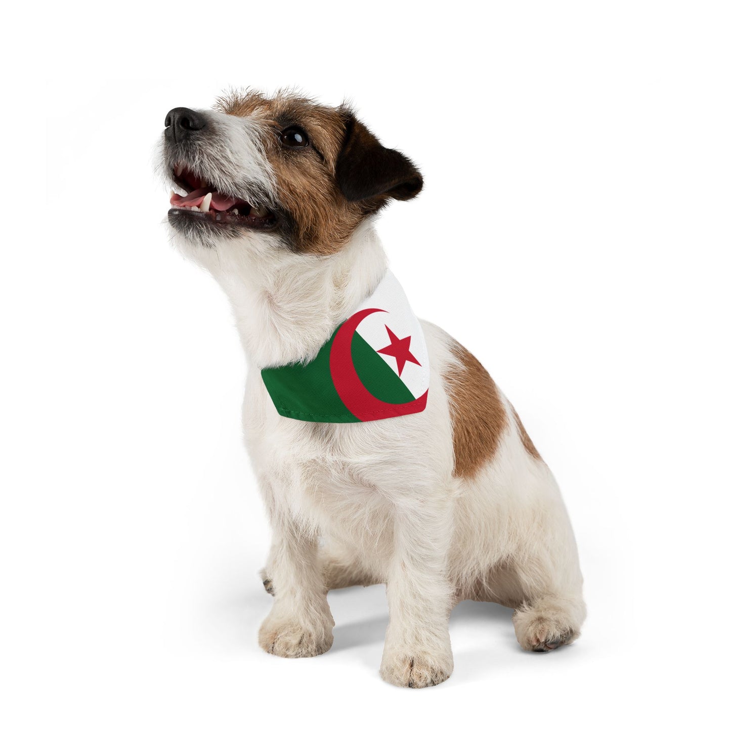 Algeria Soccer Dog Bandana — Algerian Flag Snap-On Pet Bandana, Fan Gear