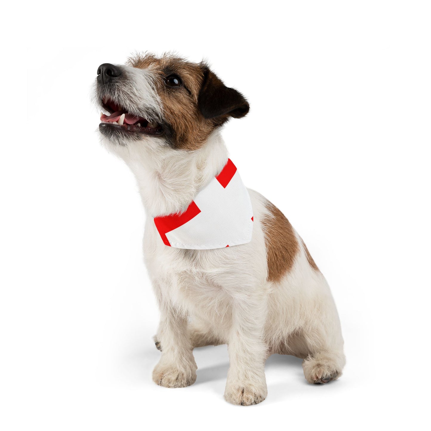 Switzerland Soccer Dog Bandana — Swiss Flag Snap-On Pet Bandana, Fan Gear