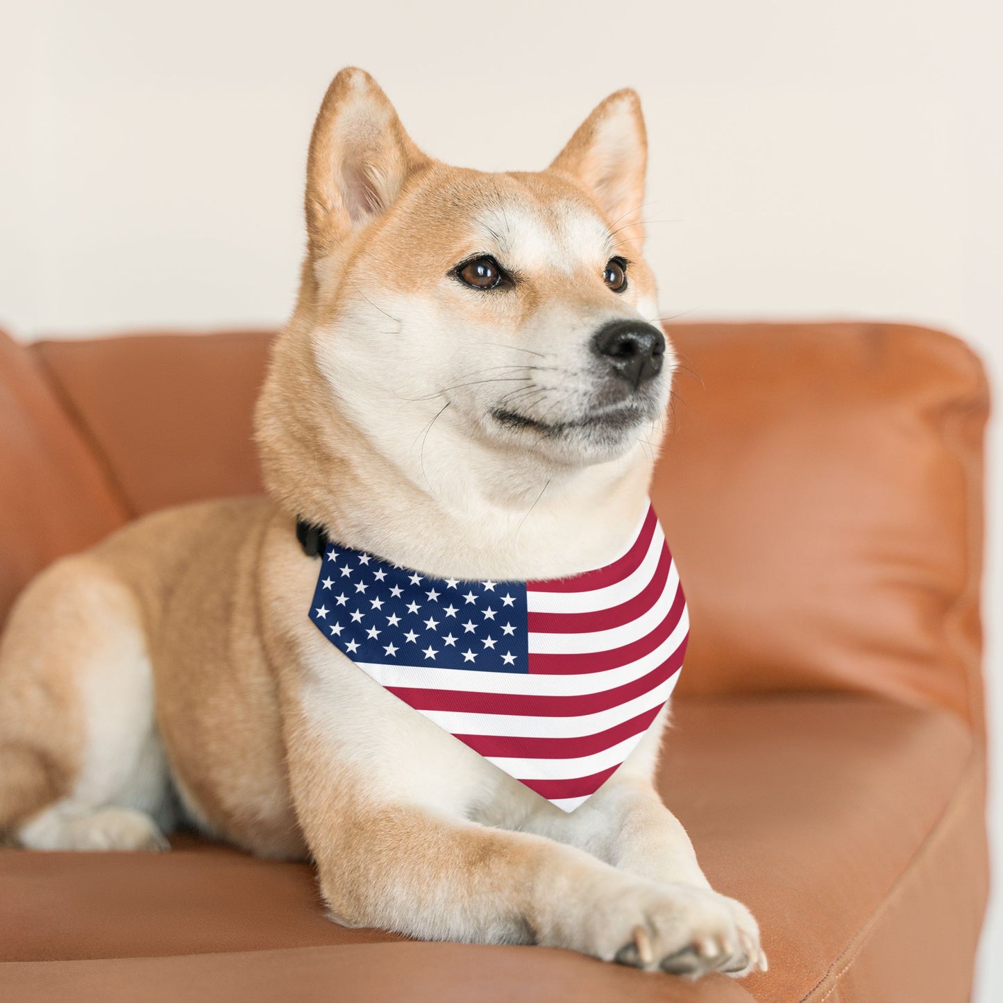 United States Soccer Dog Collar — American Flag Grid Clip-On Pet Collar, Fan Gear