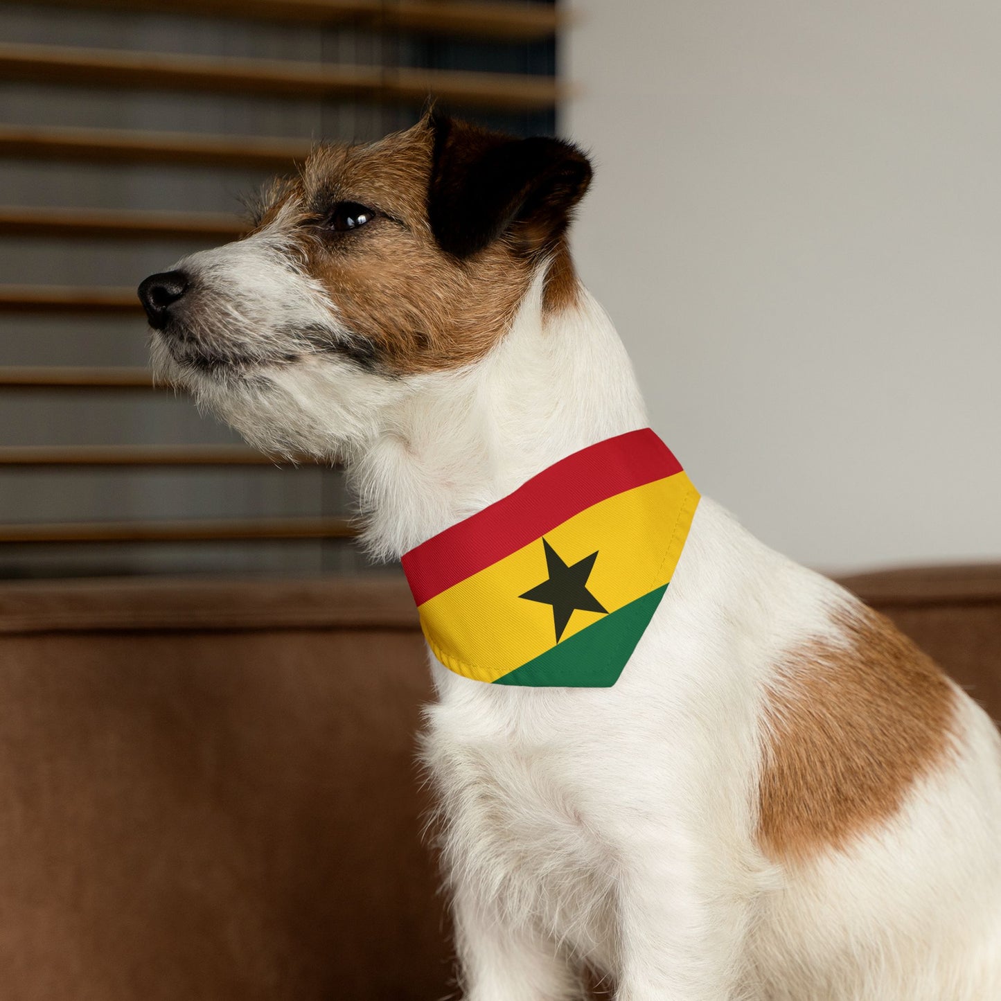 Ghana Soccer Dog Bandana — Ghanaian Flag Snap-On Pet Bandana, Fan Gear