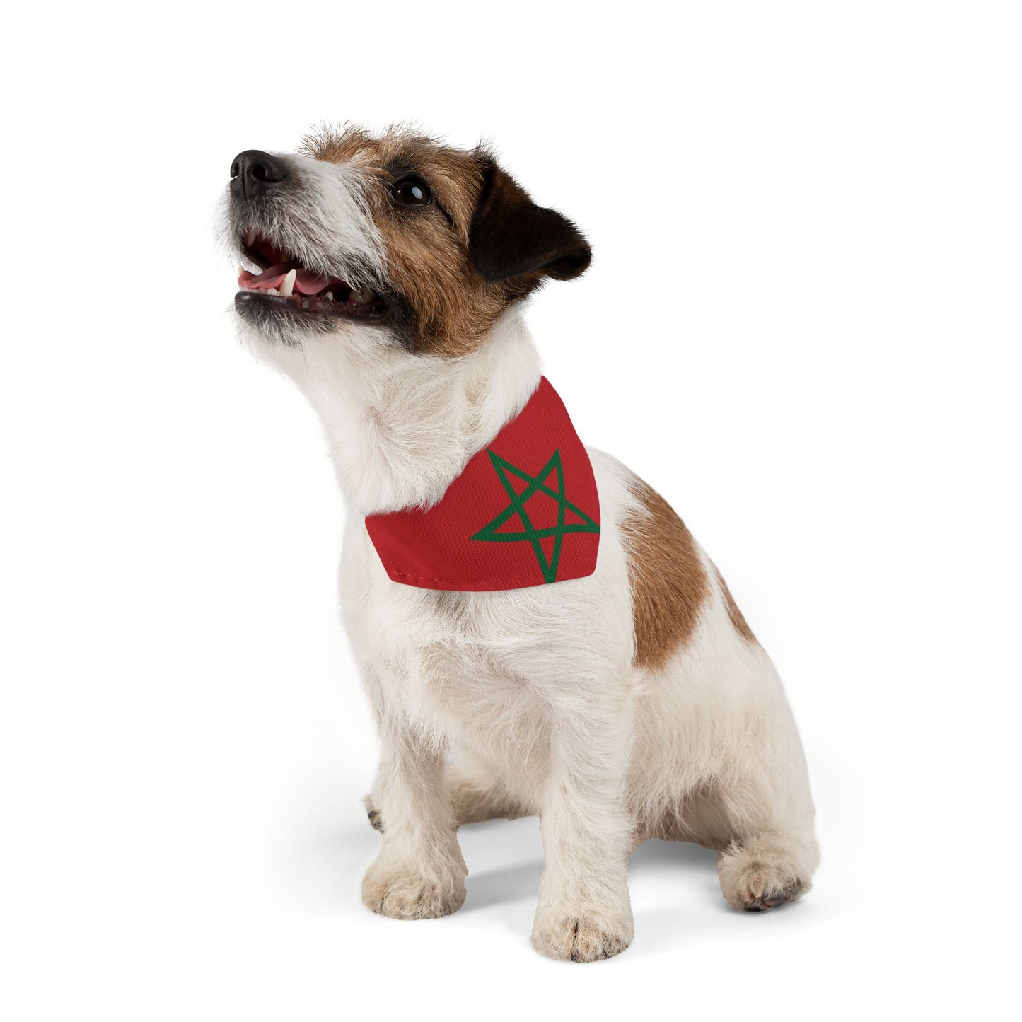 Morocco Soccer Dog Bandana — Moroccan Flag Snap-On Pet Bandana, Fan Gear