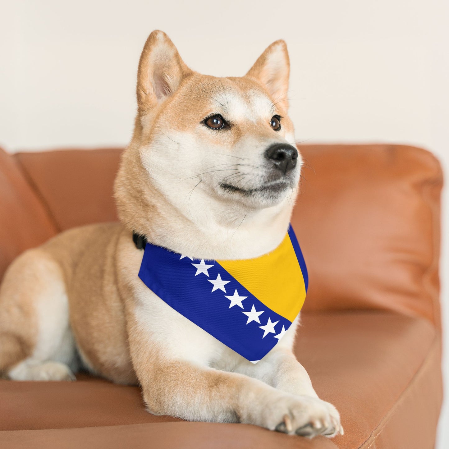 Bosnia and Herzegovina Soccer Dog Bandana — Bosnian Flag Snap-On Pet Bandana, Fan Gear