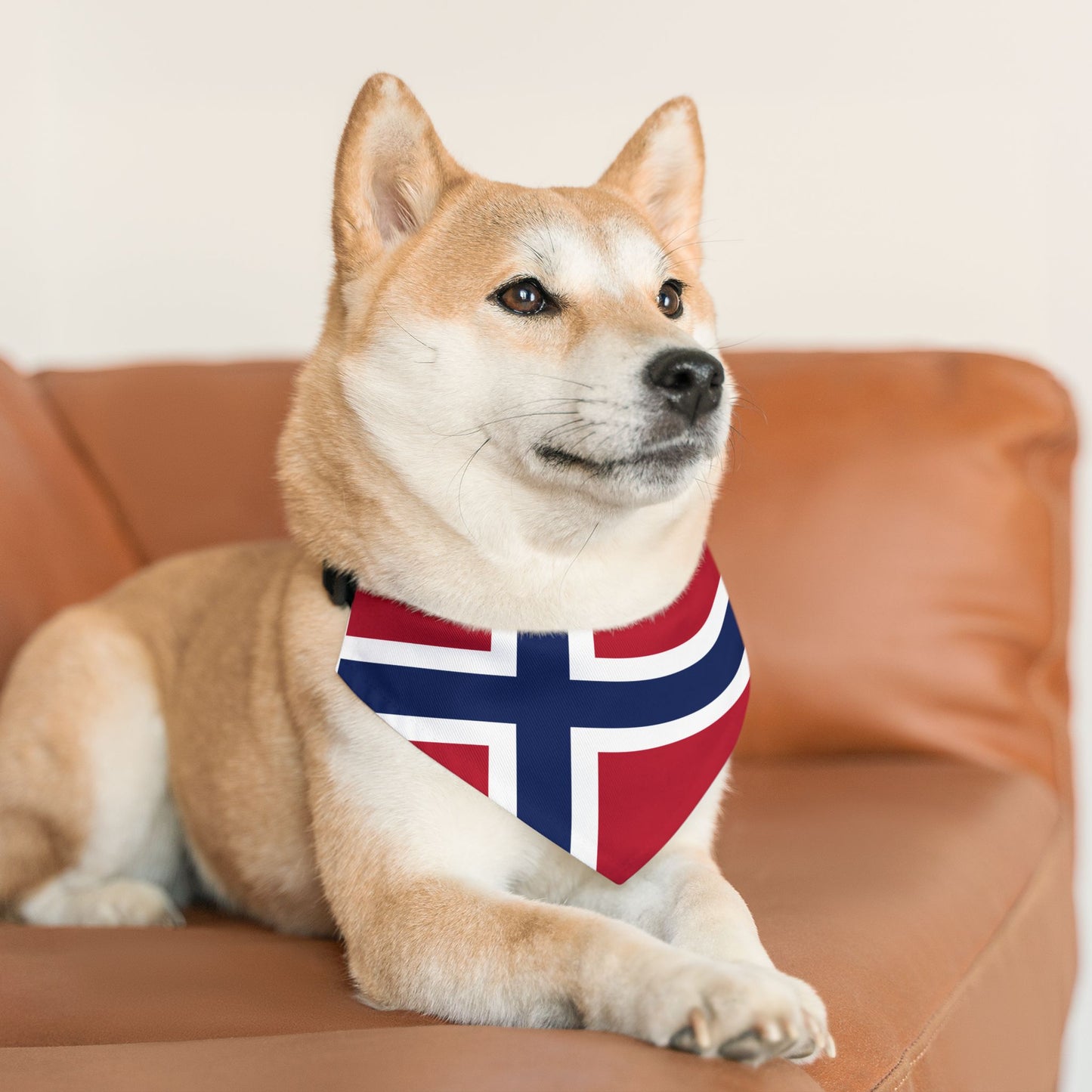 Norway Soccer Dog Bandana — Norwegian Flag Snap-On Pet Bandana, Fan Gear