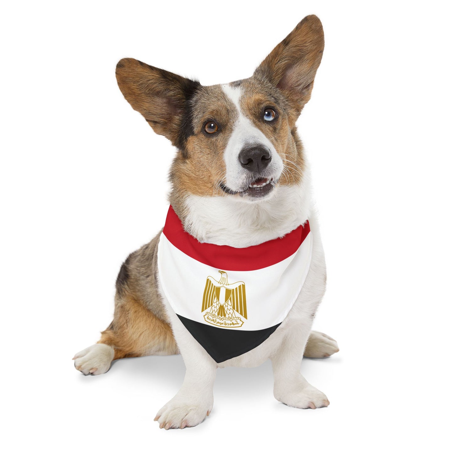 Egypt Soccer Dog Bandana — Egyptian Flag Snap-On Pet Bandana, Fan Gear