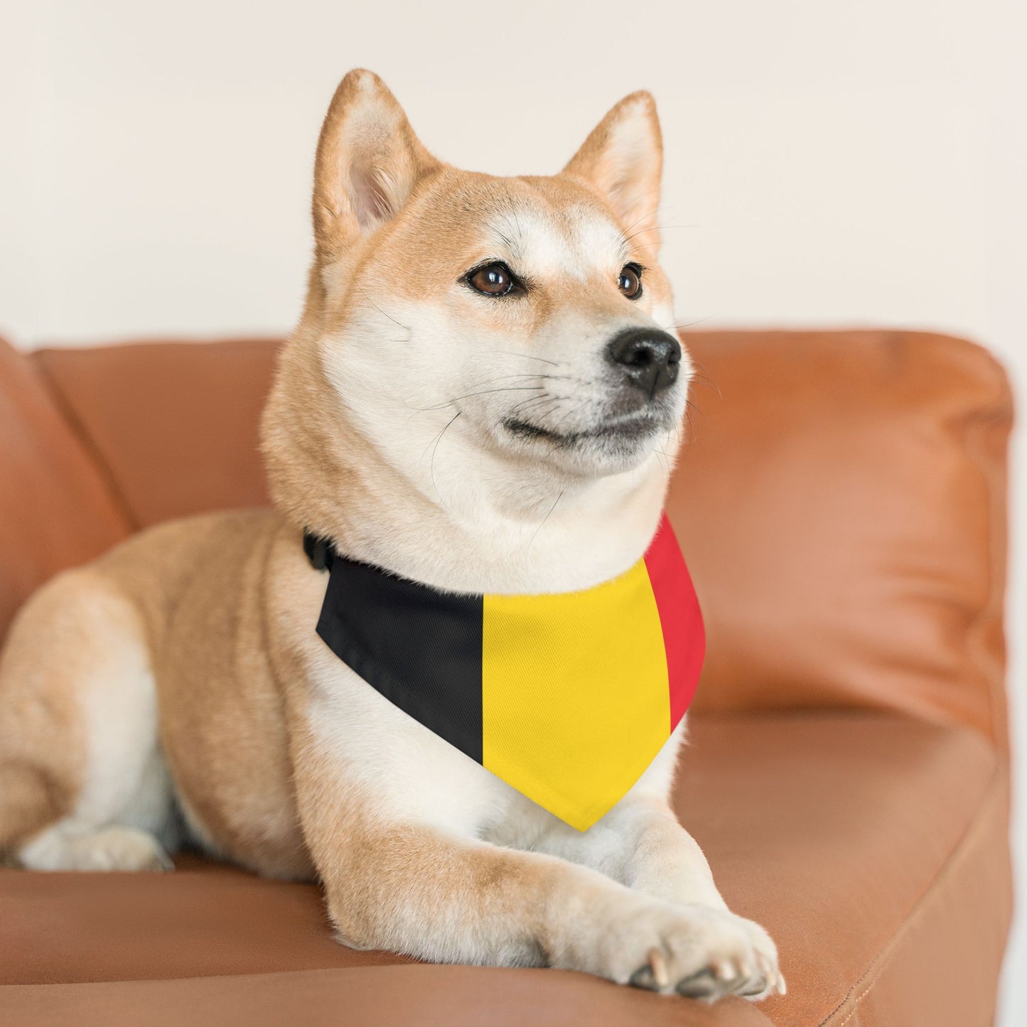 Belgium Soccer Dog Bandana — Belgian Flag Snap-On Pet Bandana, Fan Gear