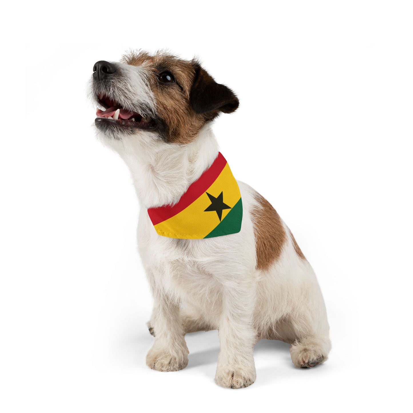 Ghana Soccer Dog Bandana — Ghanaian Flag Snap-On Pet Bandana, Fan Gear