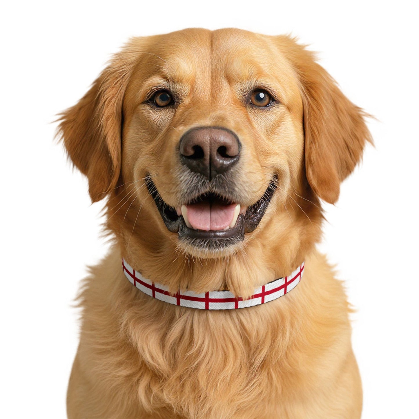 England Soccer Dog Collar — English Flag Grid Clip-On Pet Collar, Fan Gear