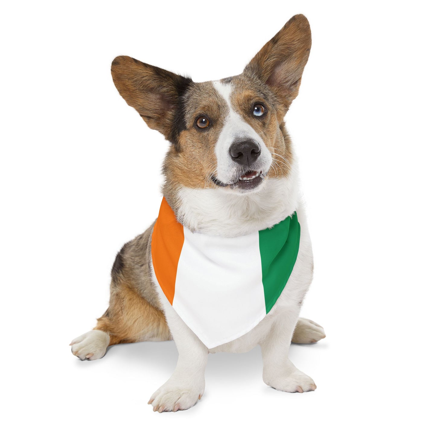 Ivory Coast Soccer Dog Bandana — Ivorian Flag Snap-On Pet Bandana, Fan Gear