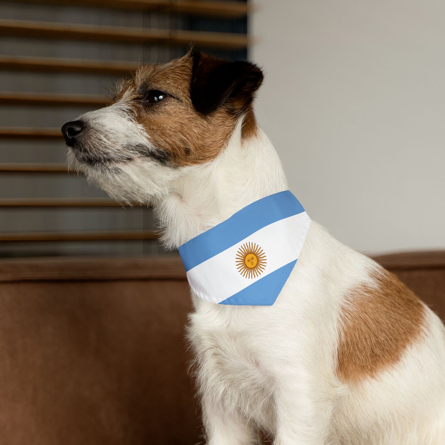 Argentina Soccer Dog Bandana — Argentine Flag Snap-On Pet Bandana, Fan Gear