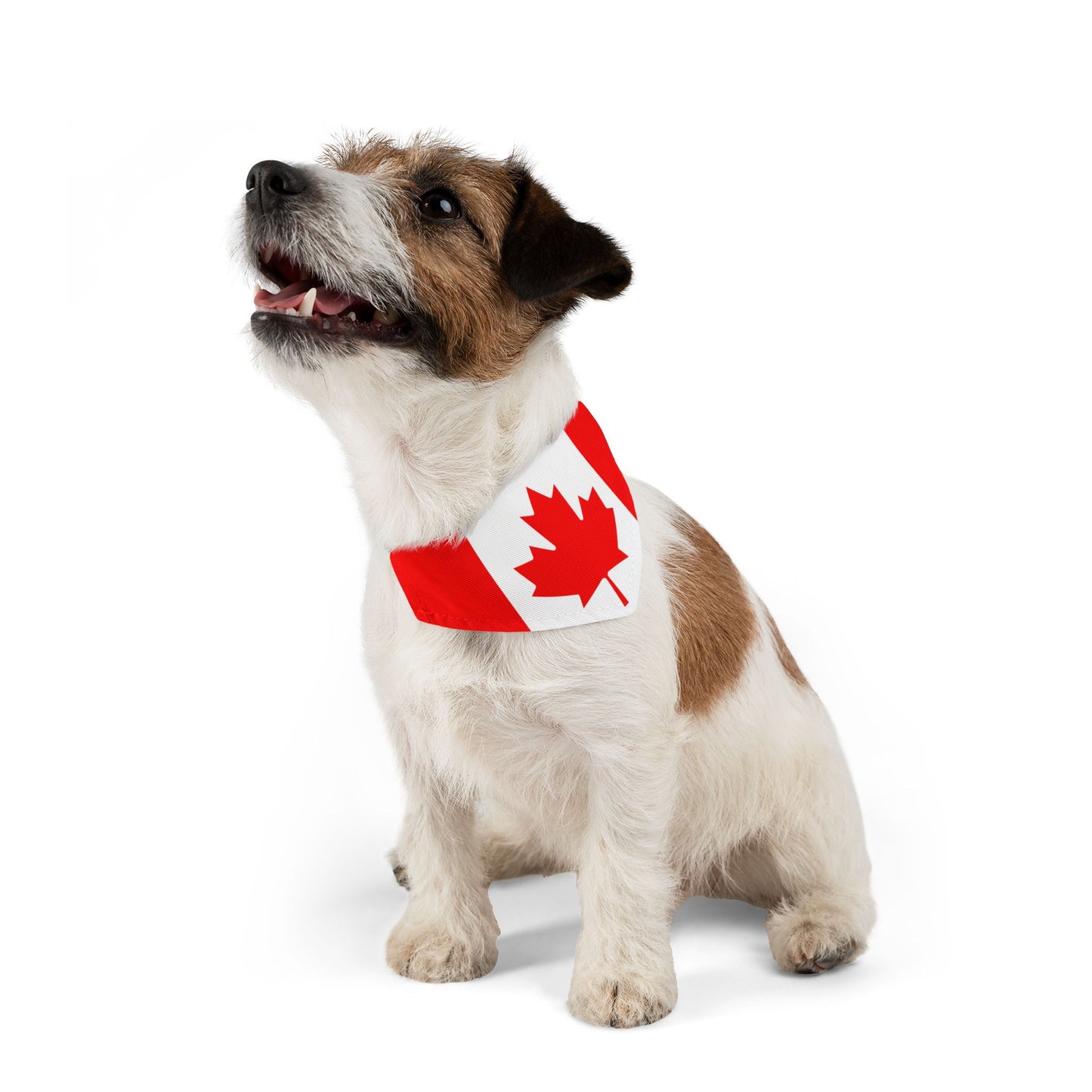 Canada Soccer Dog Bandana — Canadian Flag Snap-On Pet Bandana, Fan Gear