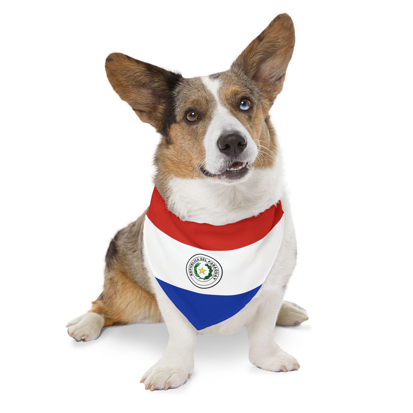Paraguay Soccer Dog Bandana — Paraguayan Flag Snap-On Pet Bandana, Fan Gear