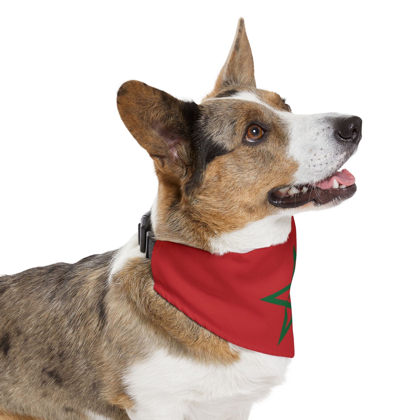 Morocco Soccer Dog Bandana — Moroccan Flag Snap-On Pet Bandana, Fan Gear