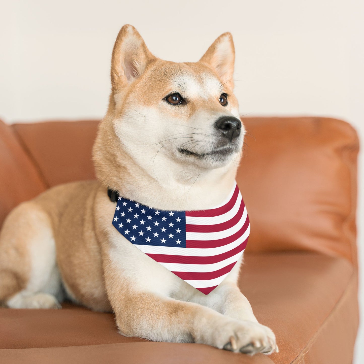 United States Soccer Dog Bandana — American Flag Snap-On Pet Bandana, Fan Gear