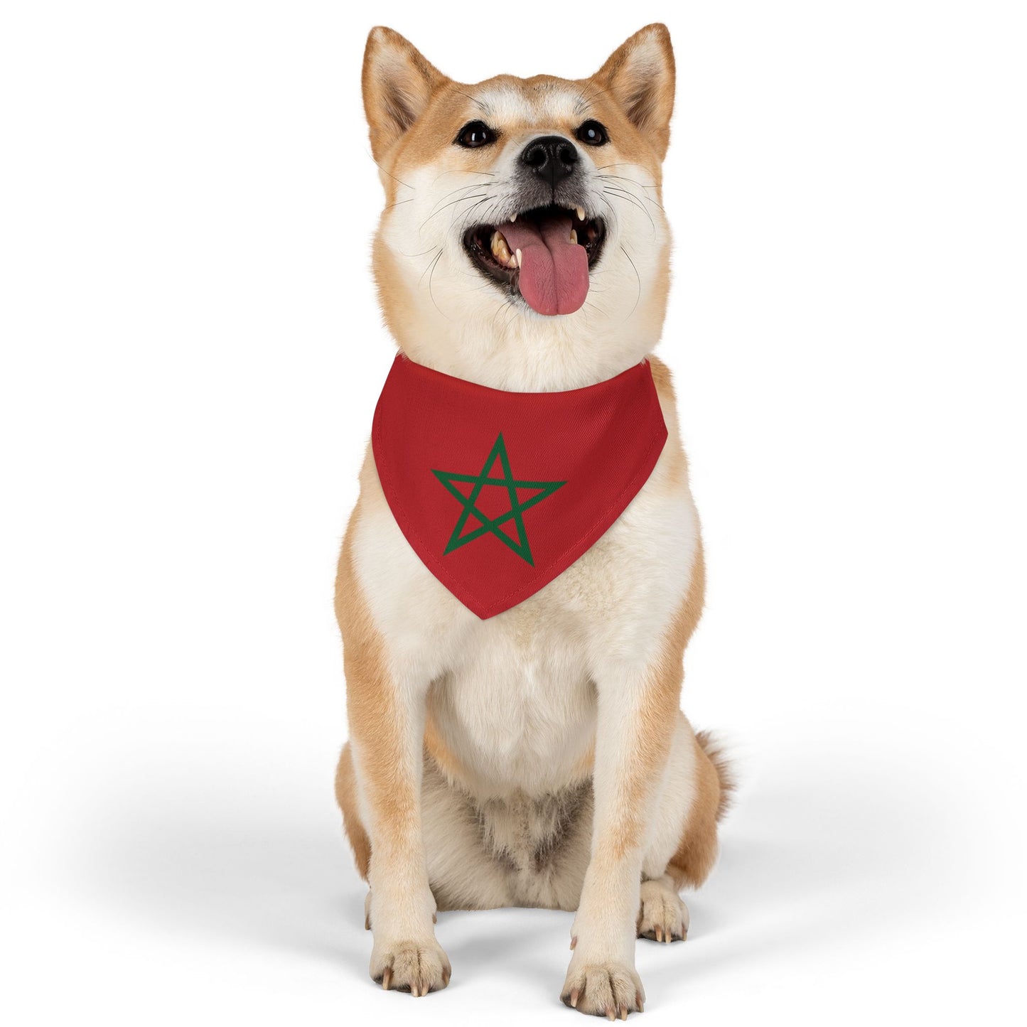 Morocco Soccer Dog Bandana — Moroccan Flag Snap-On Pet Bandana, Fan Gear