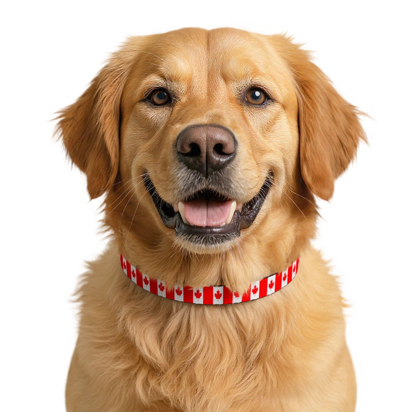Canada Soccer Dog Collar — Canadian Flag Grid Clip-On Pet Collar, Fan Gear