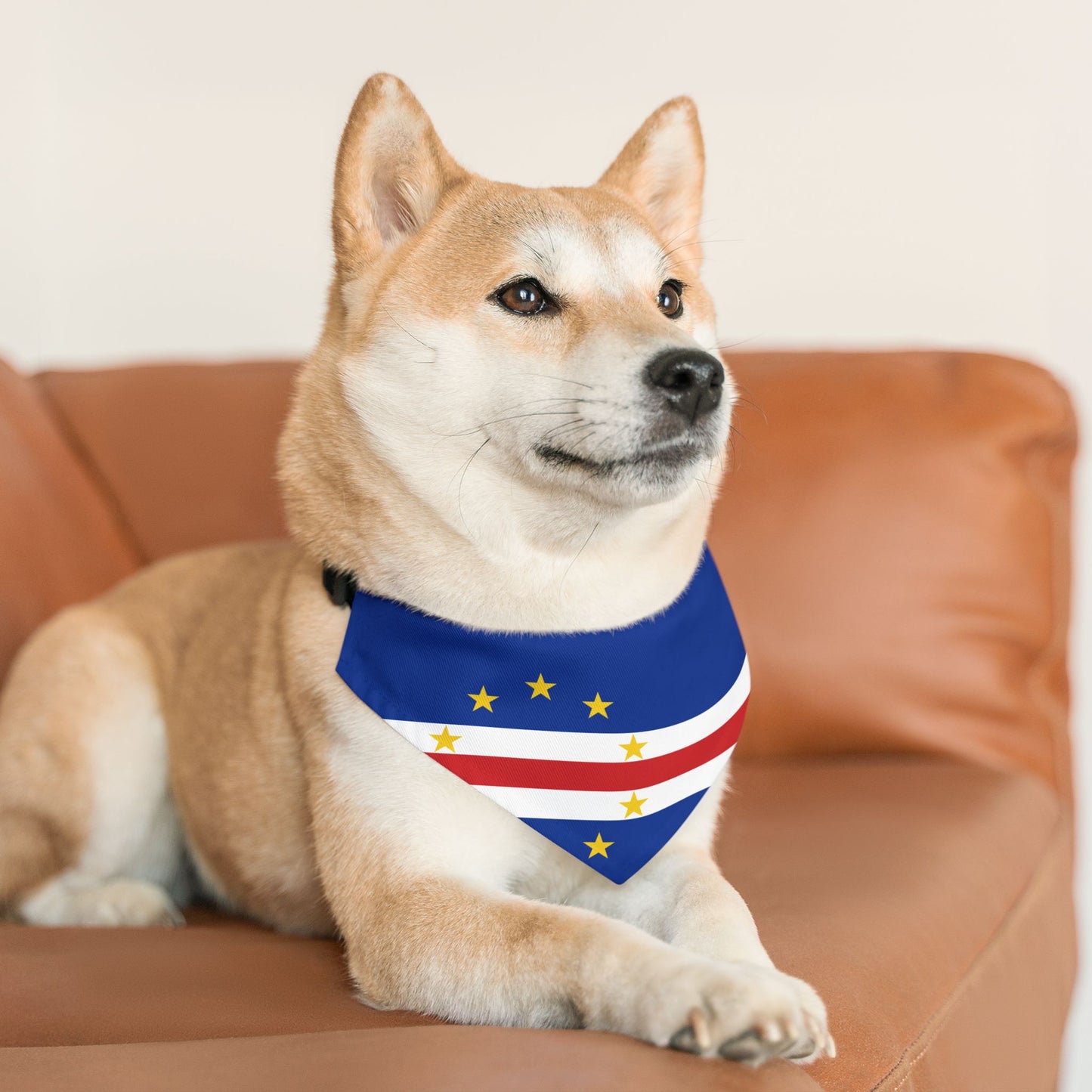 Cape Verde Soccer Dog Bandana — Cape Verdean Flag Snap-On Pet Bandana, Fan Gear
