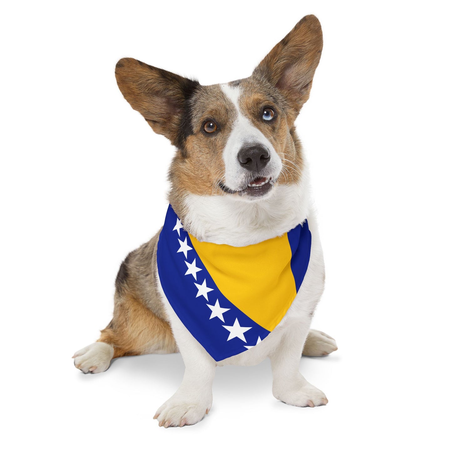 Bosnia and Herzegovina Soccer Dog Bandana — Bosnian Flag Snap-On Pet Bandana, Fan Gear