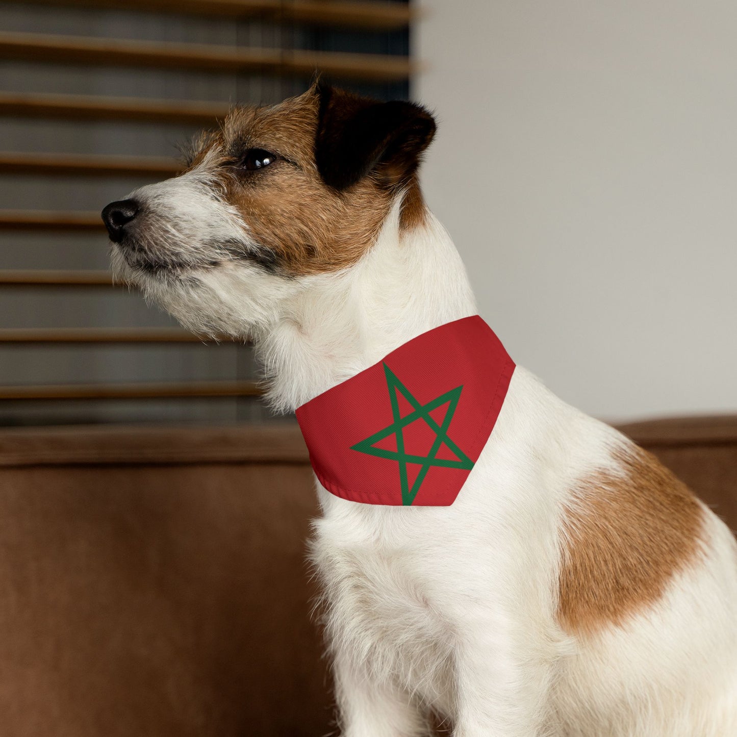 Morocco Soccer Dog Bandana — Moroccan Flag Snap-On Pet Bandana, Fan Gear