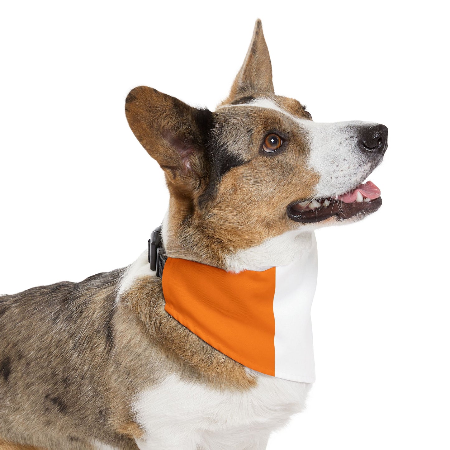 Ivory Coast Soccer Dog Bandana — Ivorian Flag Snap-On Pet Bandana, Fan Gear
