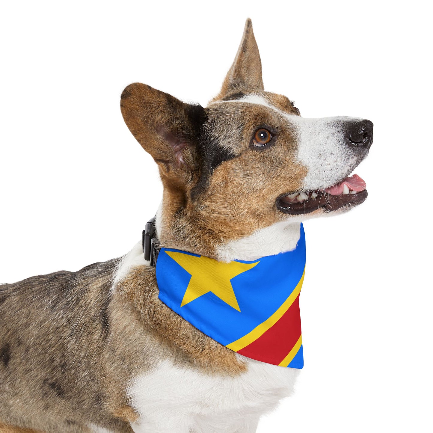 DR Congo Soccer Dog Bandana — Congolese Flag Snap-On Pet Bandana, Fan Gear