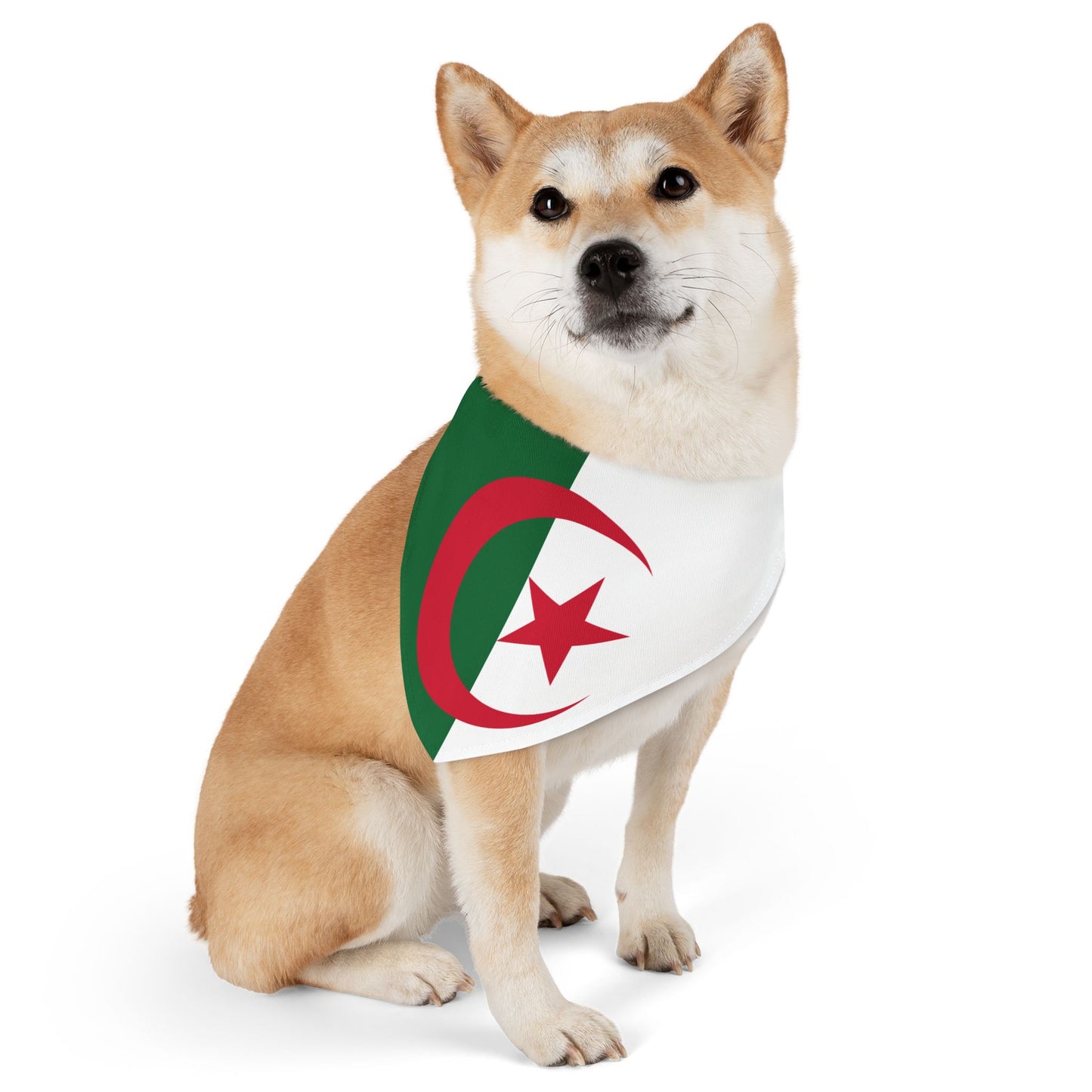 Algeria Soccer Dog Bandana — Algerian Flag Snap-On Pet Bandana, Fan Gear