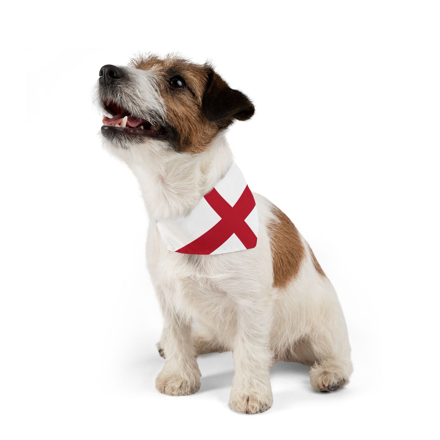 England Soccer Dog Bandana — English Flag Snap-On Pet Bandana, Fan Gear