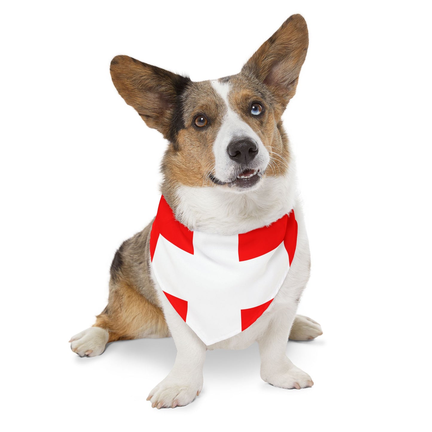 Switzerland Soccer Dog Bandana — Swiss Flag Snap-On Pet Bandana, Fan Gear