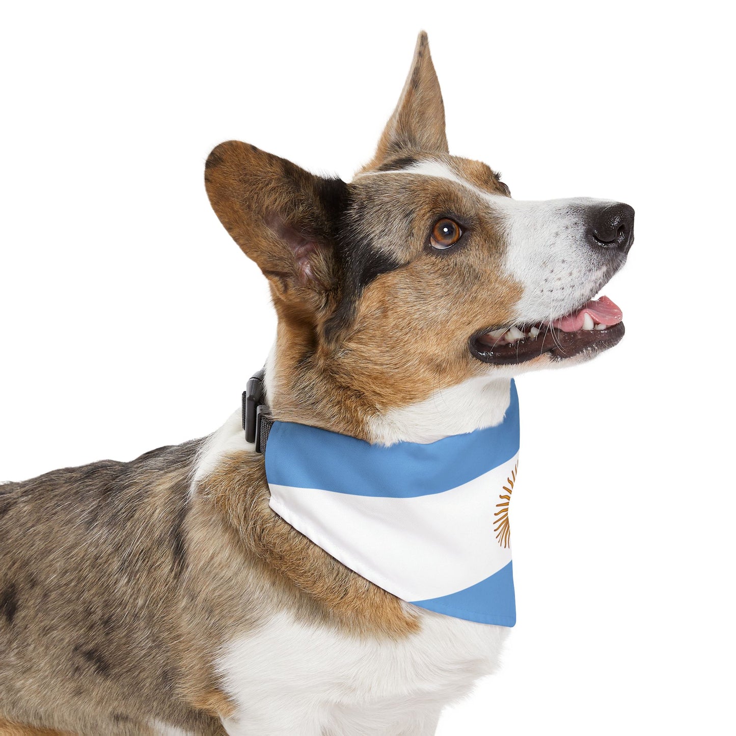Argentina Soccer Dog Bandana — Argentine Flag Snap-On Pet Bandana, Fan Gear