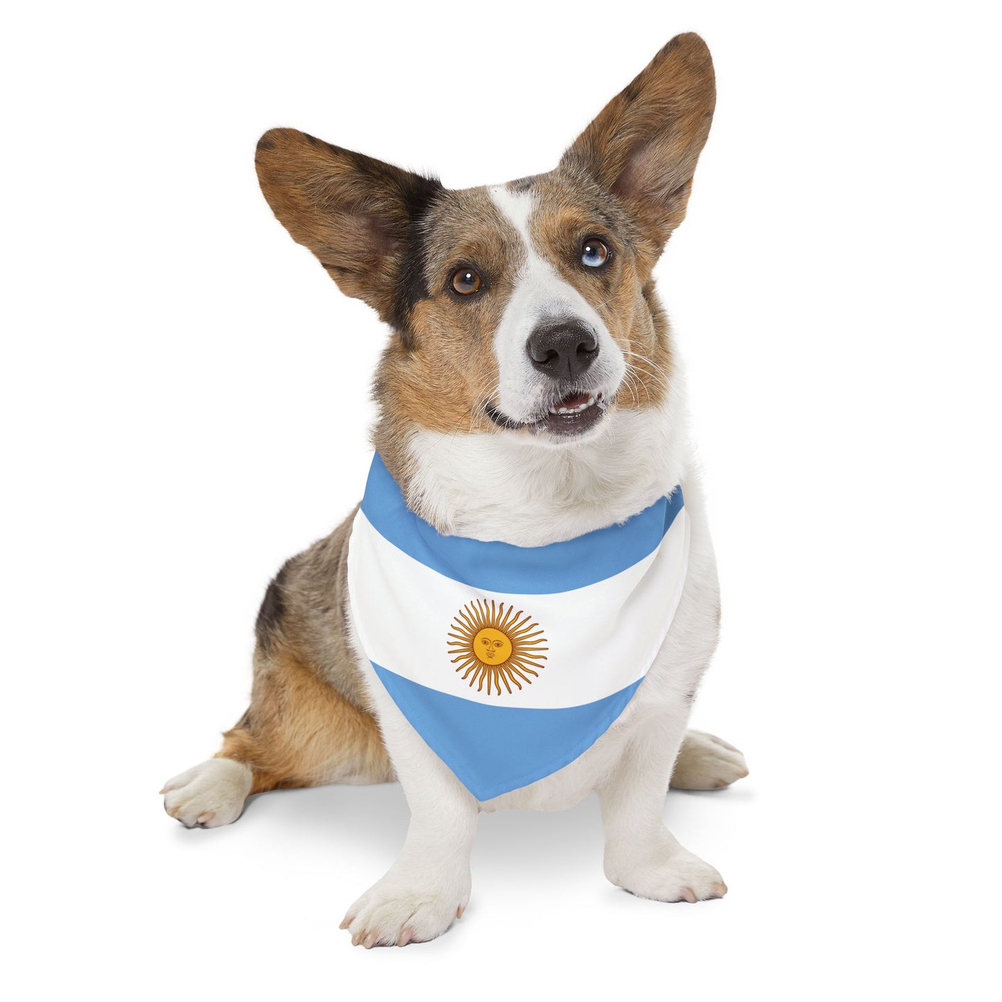 Argentina Soccer Dog Bandana — Argentine Flag Snap-On Pet Bandana, Fan Gear