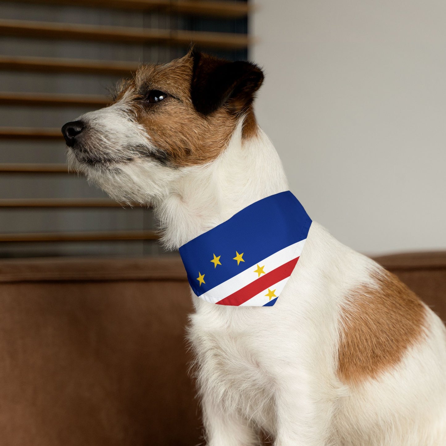 Cape Verde Soccer Dog Bandana — Cape Verdean Flag Snap-On Pet Bandana, Fan Gear