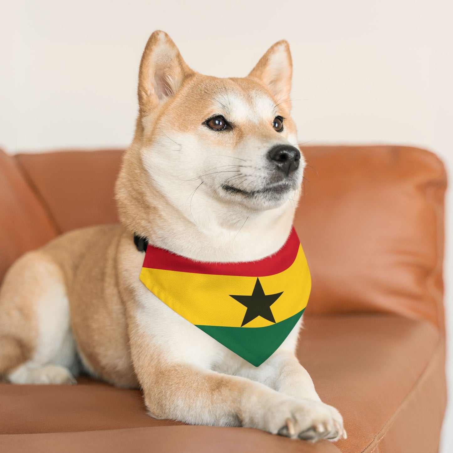 Ghana Soccer Dog Bandana — Ghanaian Flag Snap-On Pet Bandana, Fan Gear