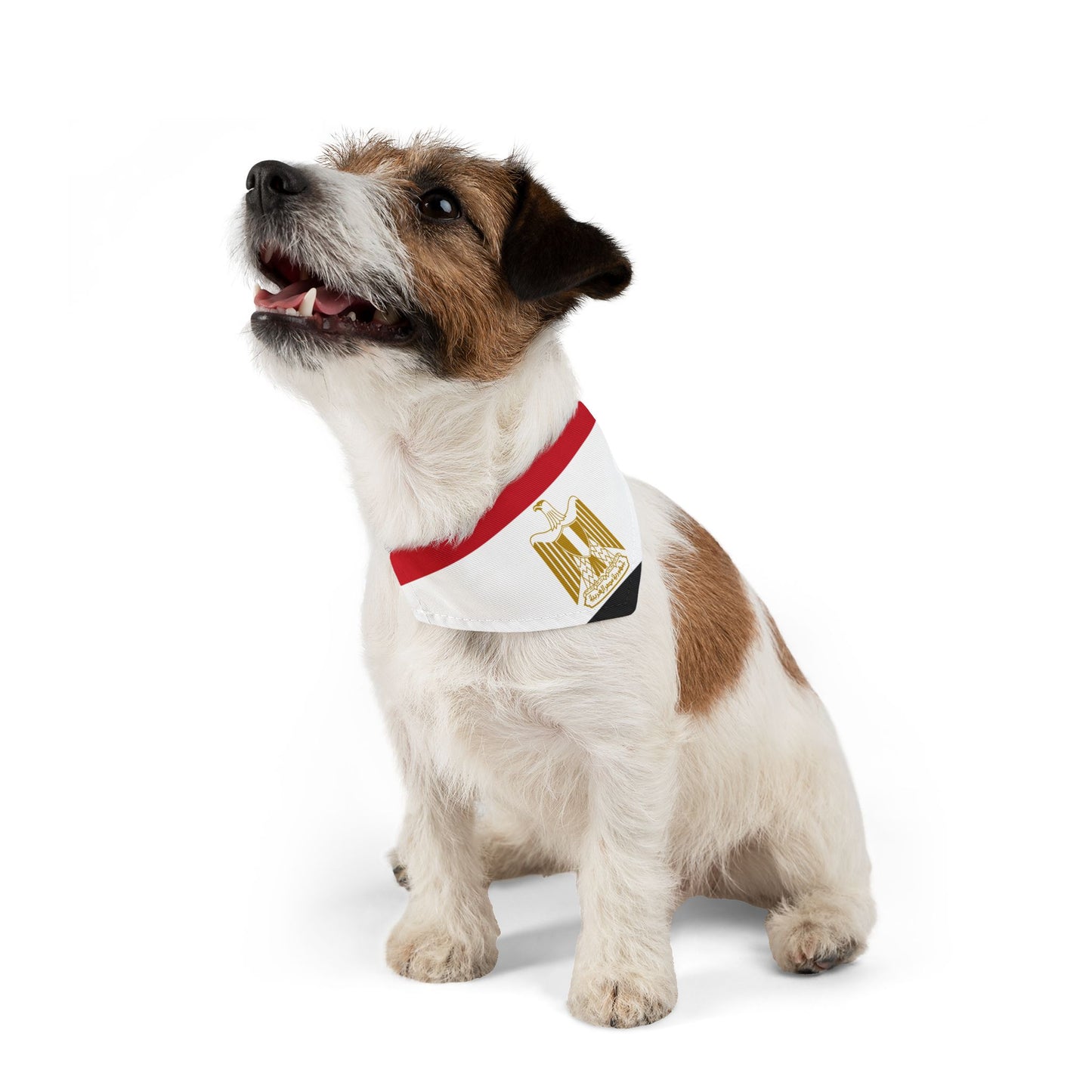 Egypt Soccer Dog Bandana — Egyptian Flag Snap-On Pet Bandana, Fan Gear