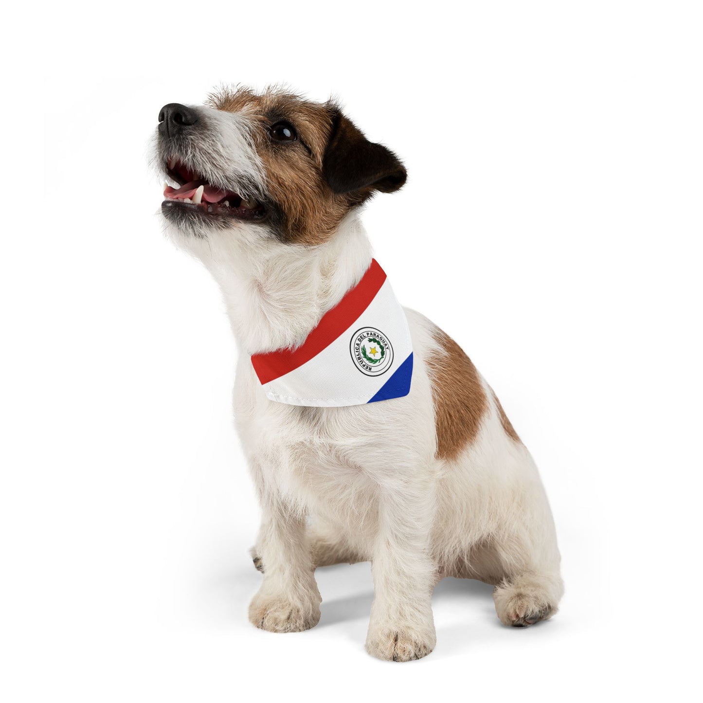 Paraguay Soccer Dog Bandana — Paraguayan Flag Snap-On Pet Bandana, Fan Gear