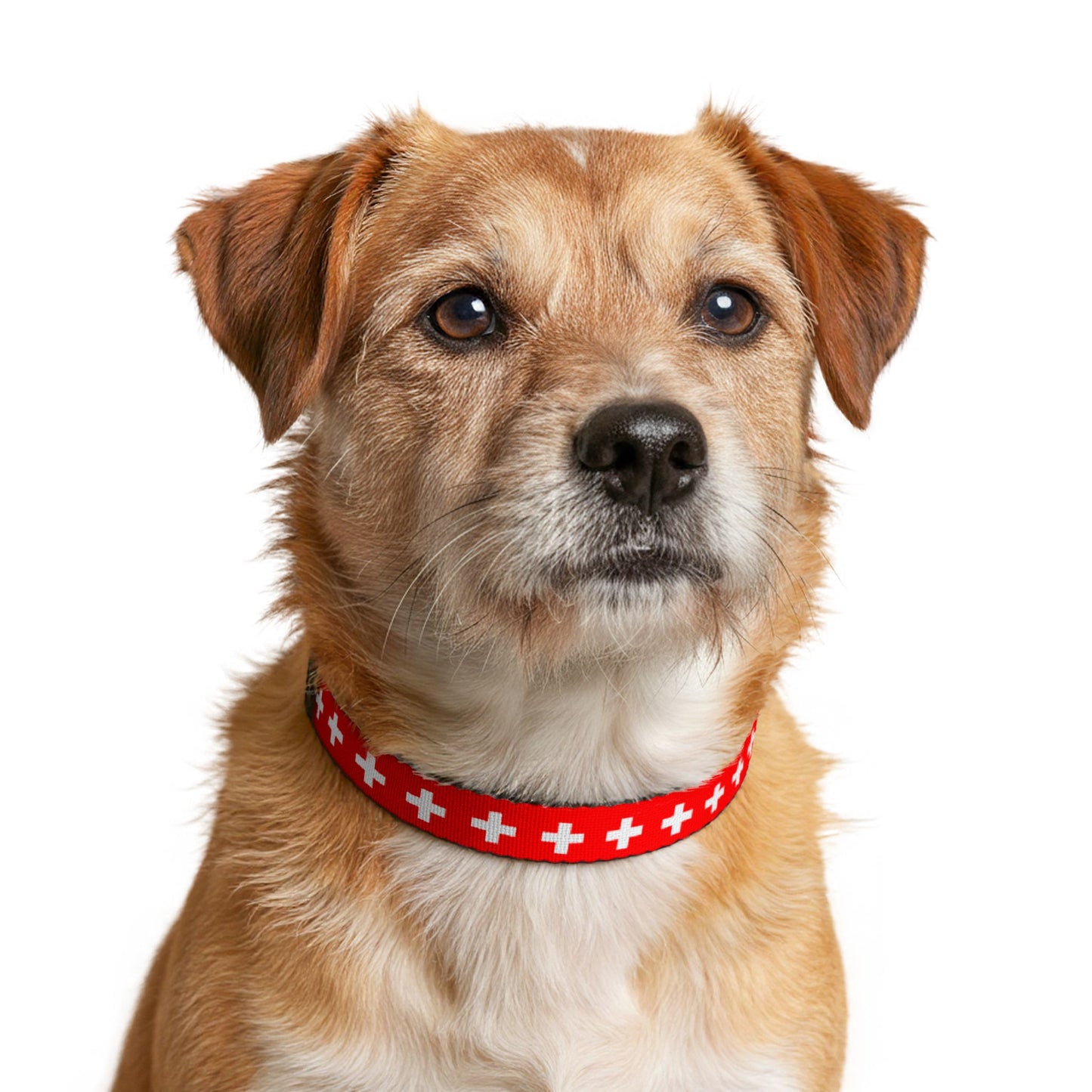 Switzerland Soccer Dog Collar — Swiss Flag Grid Clip-On Pet Collar, Fan Gear