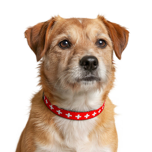 Switzerland Soccer Dog Collar — Swiss Flag Grid Clip-On Pet Collar, Fan Gear