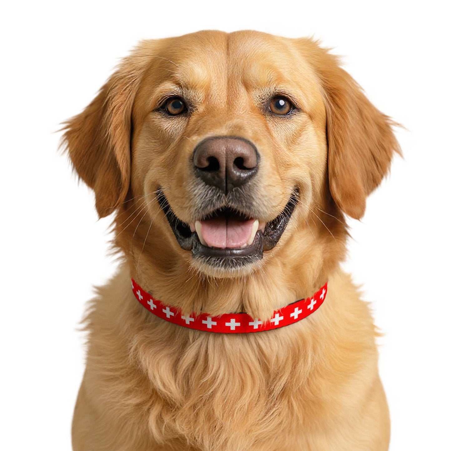 Switzerland Soccer Dog Collar — Swiss Flag Grid Clip-On Pet Collar, Fan Gear