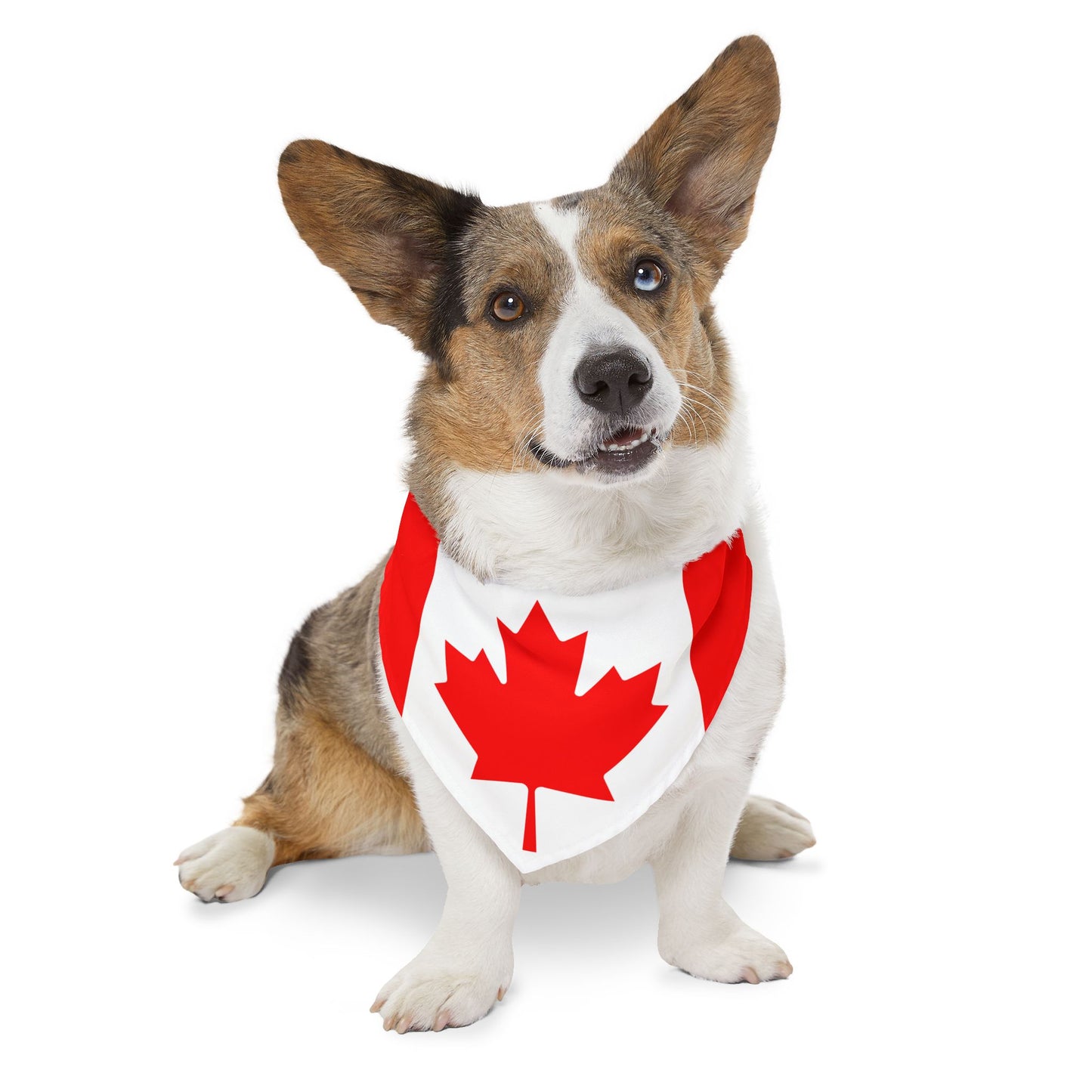 Canada Soccer Dog Bandana — Canadian Flag Snap-On Pet Bandana, Fan Gear