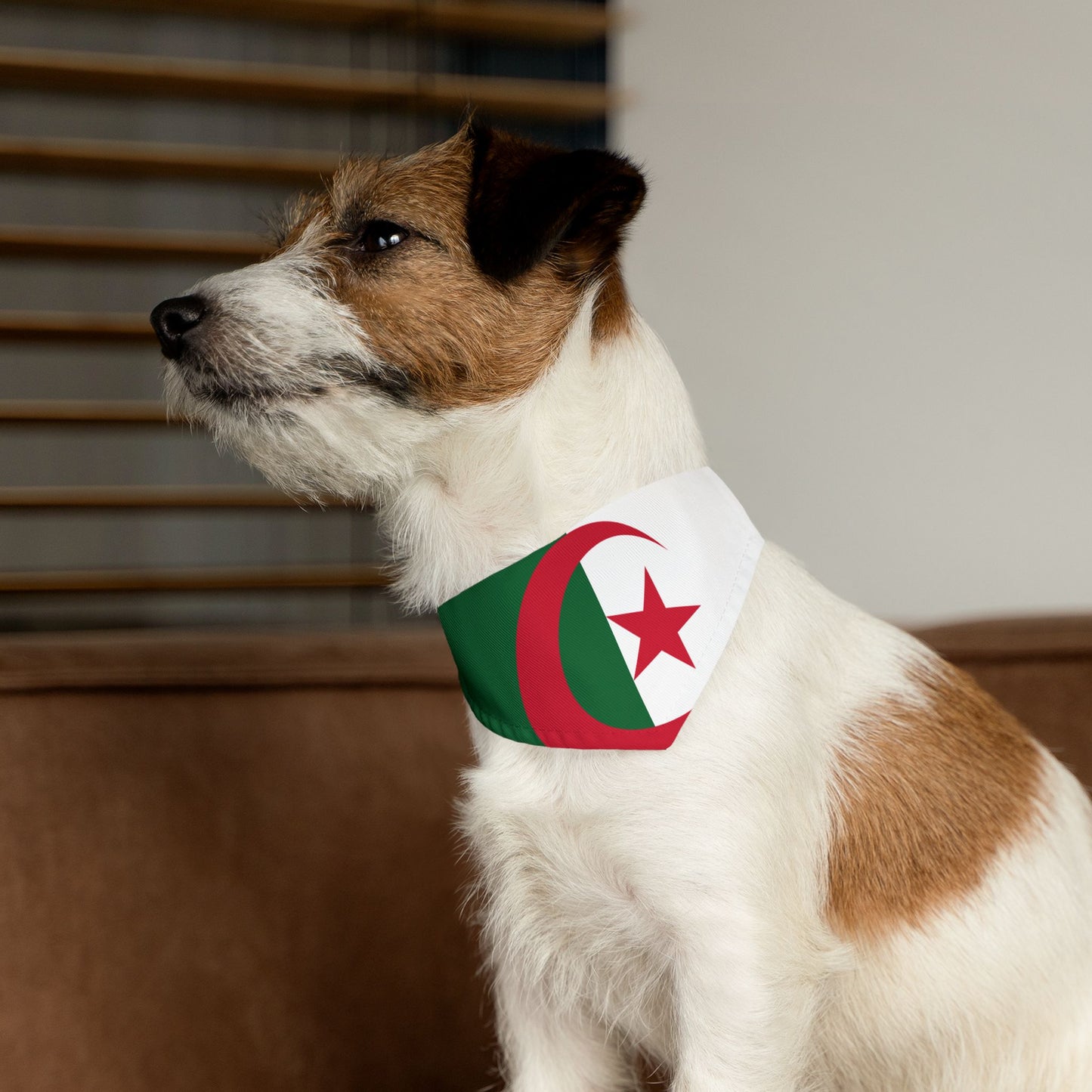 Algeria Soccer Dog Bandana — Algerian Flag Snap-On Pet Bandana, Fan Gear